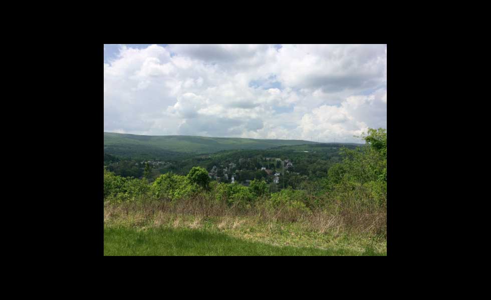 C&O Canal Towpath 2015