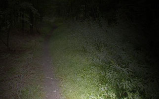 Sussex Branch Trail